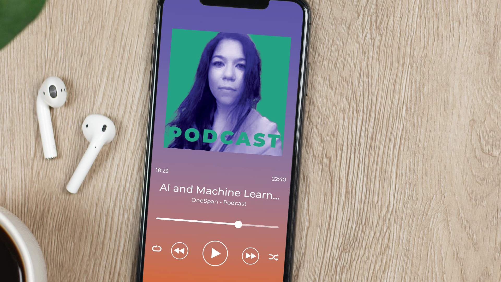 AI Machine Learning Bias Podcast