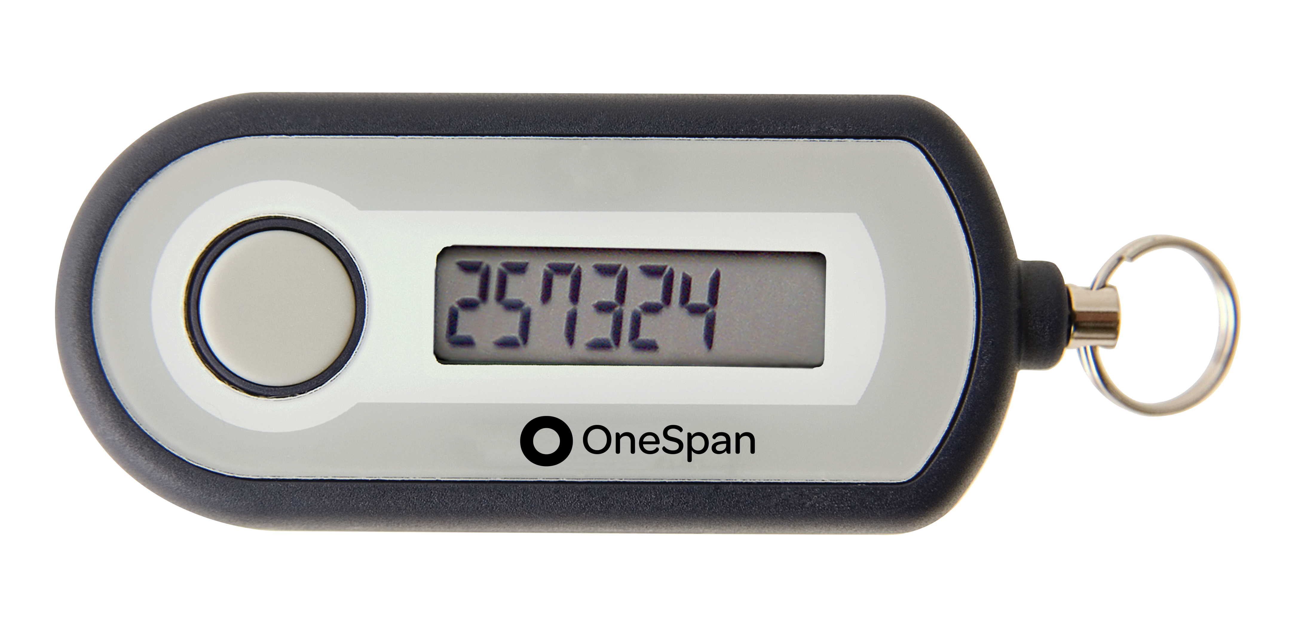 OneSpan Digipass GO 6