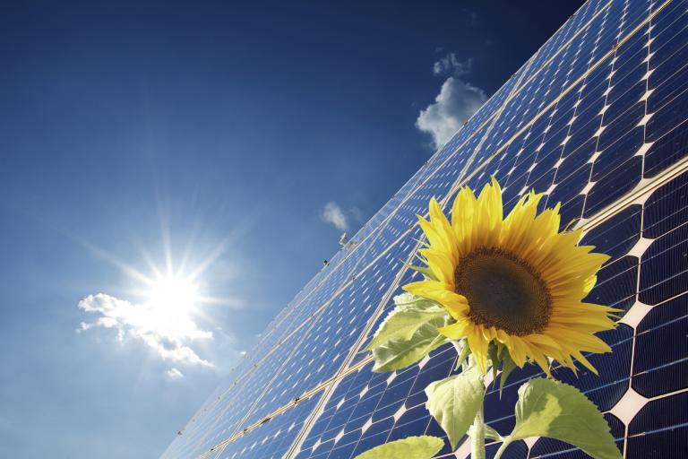 signature solar signature solar