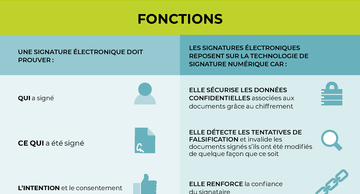 Infographic electronic vs digital signatures