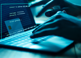 Webinar Risk Analytics