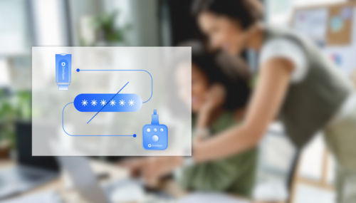 Passwordless workforce authentication
