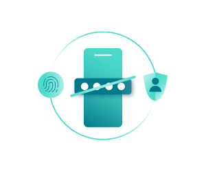 Passwordless consumer authentication