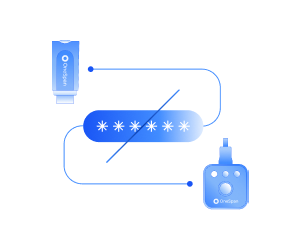 Passwordless workforce authentication