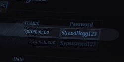 What is the StrandHogg Vulnerability?