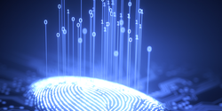 Passwordless Banking: A Deeper Look at Biometric Authentication and Liveness Detection