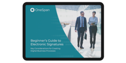 Beginner's Guide